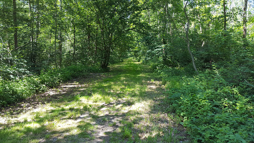 Park Schwansee - Visual