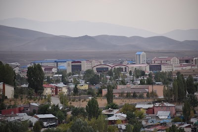 Caucasus University Health Research Center