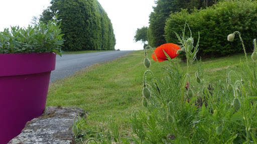 Photo de Gîte Les Onglais à Saint-Jean-sur-Mayenne (53240)