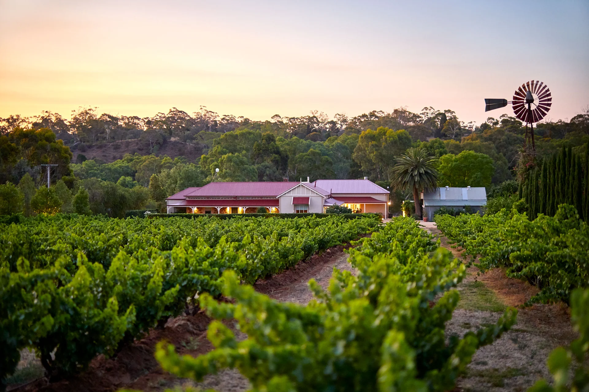 LE MAS BAROSSA