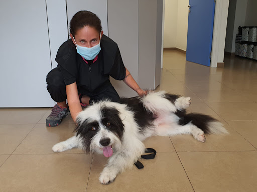 PRATDESABA VETERINARIS LLUÇANÈS