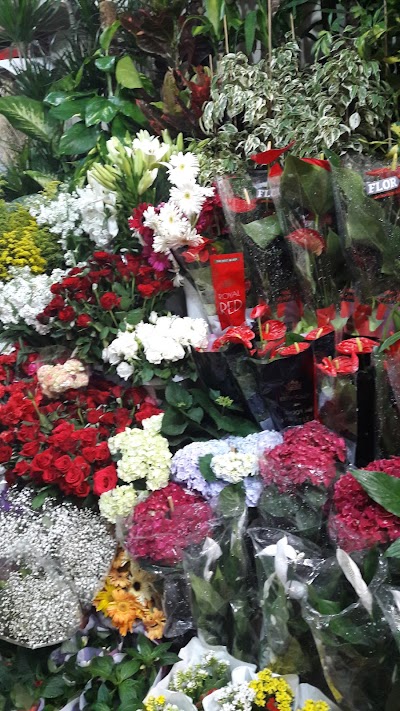 Photos of Erciş Demet &Ccedil;i&ccedil;ekcilik