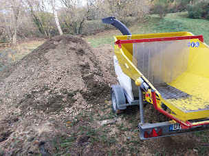 Photo n°6 de AM Elagage | Abattage | Entretien parc et jardin | Désinsectisation guêpe/frelon | Au Mont-dore à Mont-Dore (Paysagiste)