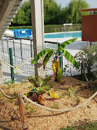 Photo n°44 de Piscine des Lacs à Viry-Châtillon (Piscine couverte)