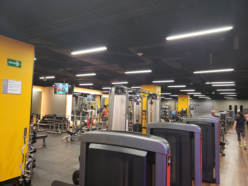 Gimnasio Smart Fit - Solesta