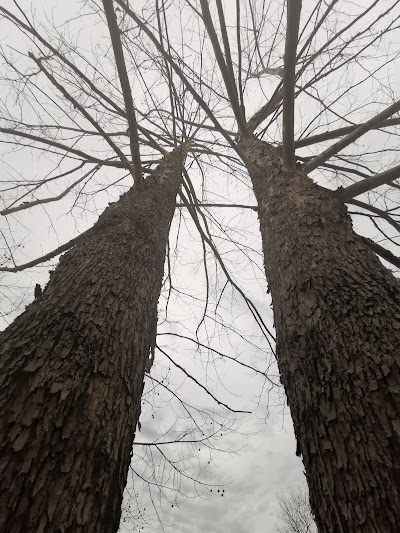 East State Street Dog Park