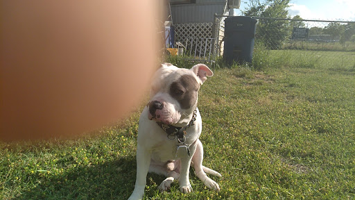 Daleville Animal Hospital Gallery - United States