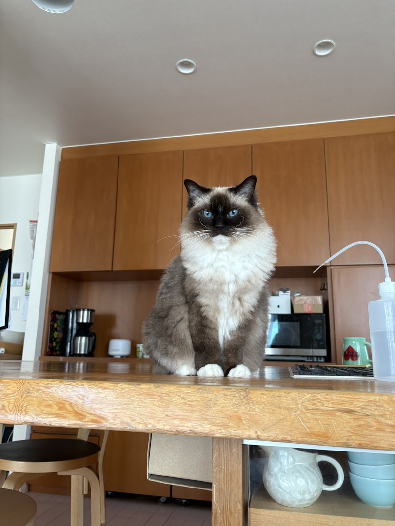 水前寺公園ペットクリニック