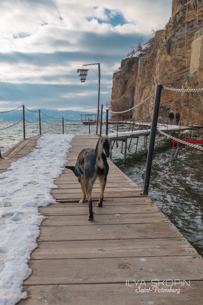 Photos of Vila Grdan