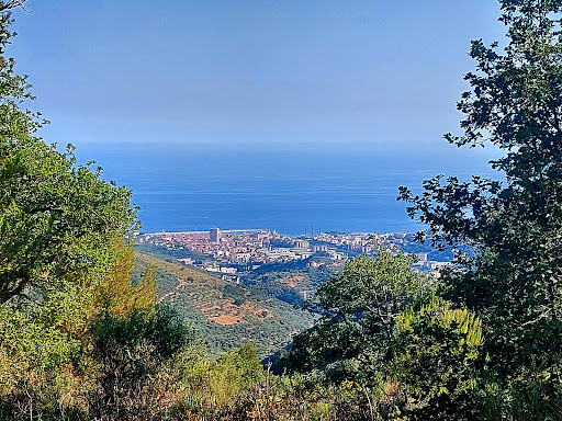 View Point Merea - Visual