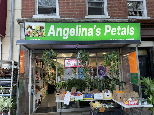 Angelina's Petals Gallery - United States