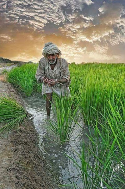 Photos of نهر الوهابي