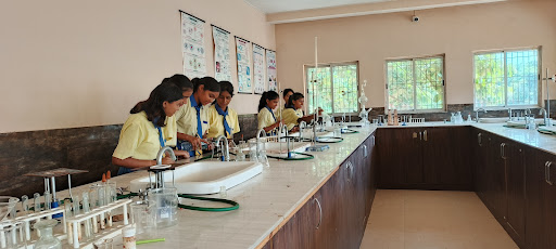 Gallery image 7