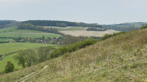 Levin Down Nature Reserve Sussex Wildlife Trust