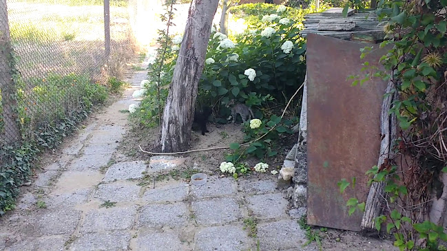 Коментари и отзиви за Хотел Паралакс