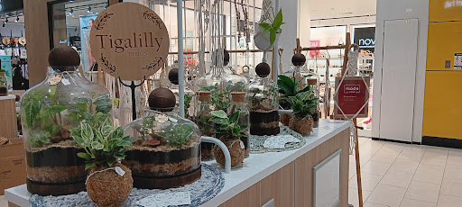 Tigalilly Design