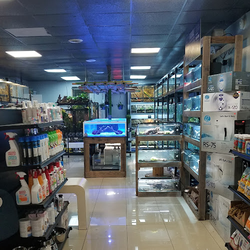 Nature's Reef & Reptile