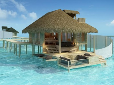 travel-agency