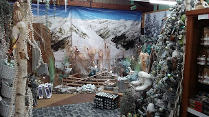 Photo n°4 de Jardinerie Gauthier à Saint-Jean-de-Bournay (Pépinière)