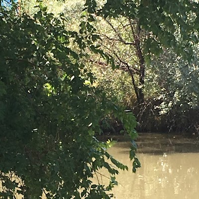 Jordan River Wetlands Preserve