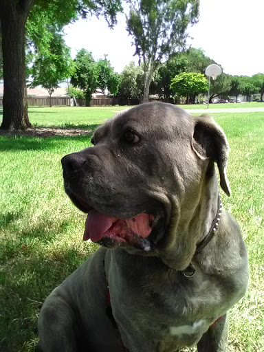 Rix Park - Visual