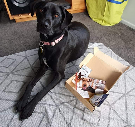 Vetty Pet Healthcare Gallery - New Zealand