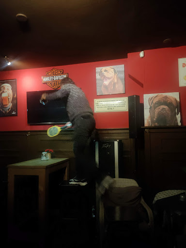Café Peanuts