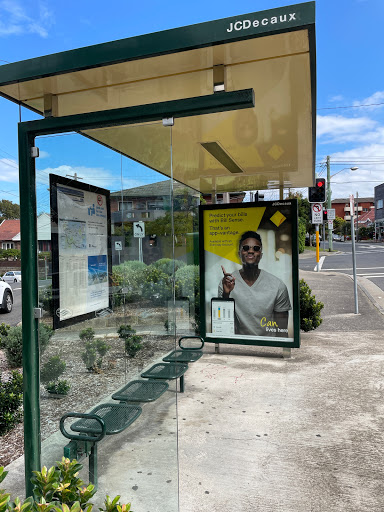 Clovelly Rd at Carrington Rd - Thumbnail
