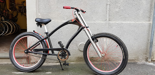 Bici All'Origine Paolo Sport Di Paolo Diotallevi Livorno