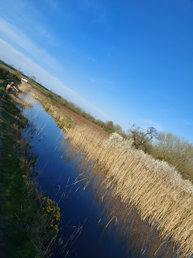 Buckingham Canal at Bourton Meadow