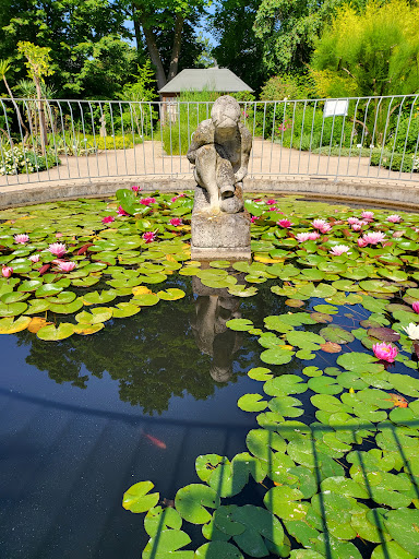 Städtischer Schulgarten - Thumbnail
