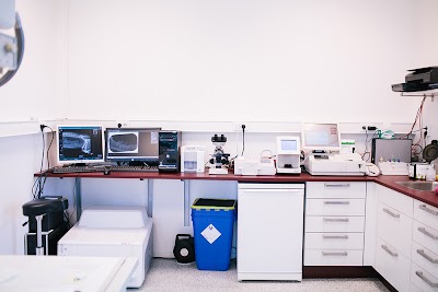 Photos of Veterinary Center Almere