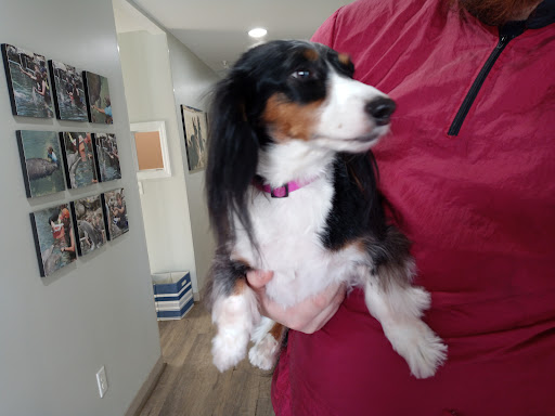 Wags 'N Whiskers Comprehensive Pet Care