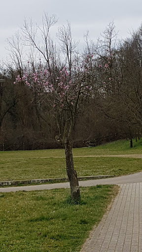 Parco Lavezza - Visual