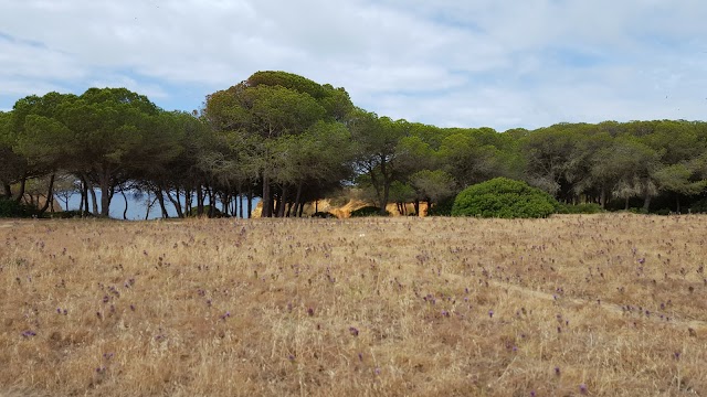 Praia de João de Arens