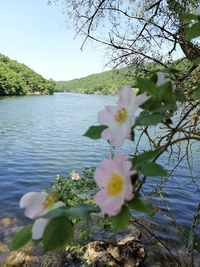 Büyükelmalı Pond