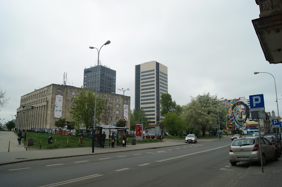 Parking Strzeżony, Author: steven lodz