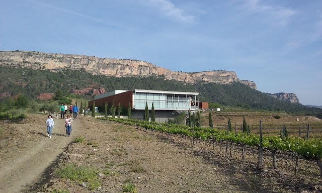 Familia Torres - Priorat (CENTRO DE VISITAS)