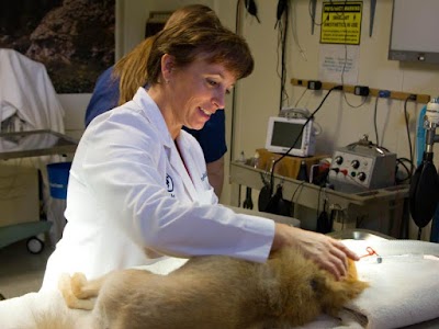 Photos of Delmar Animal Hospital