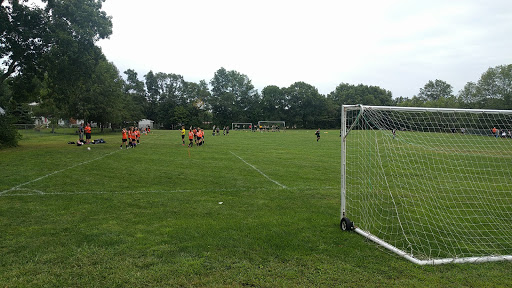 Berthold Field - Visual