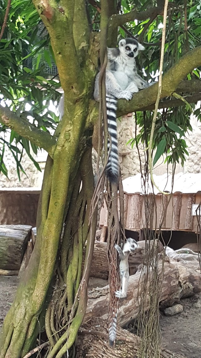 Jesperhus Blomsterpark