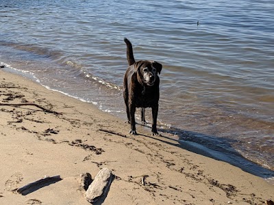 Matapeake Park