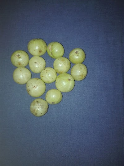 Photos of جمعية الاسطبلات