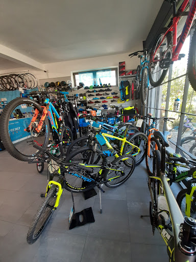CICLI MANINI - Visual