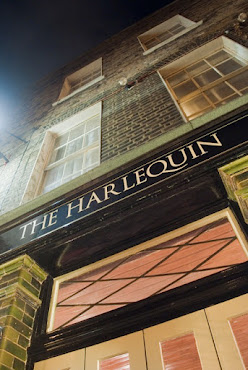 The Harlequin by null