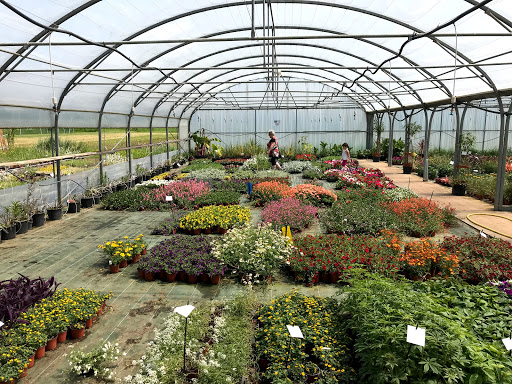 High School Paysage Et De L'horticulture Gallery - France