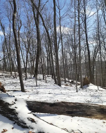 Danner Family Preserve - Thumbnail