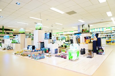 Photos of Diebo Pet World