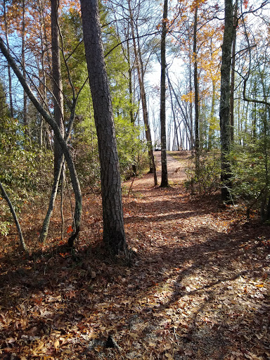 Flat Hollow Trailhead Gallery - United States