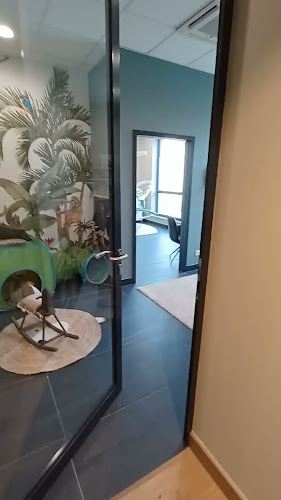 Medicover Stomatologia Toruń Dentysta Ortodonta Implanty Bonding Raty 0%